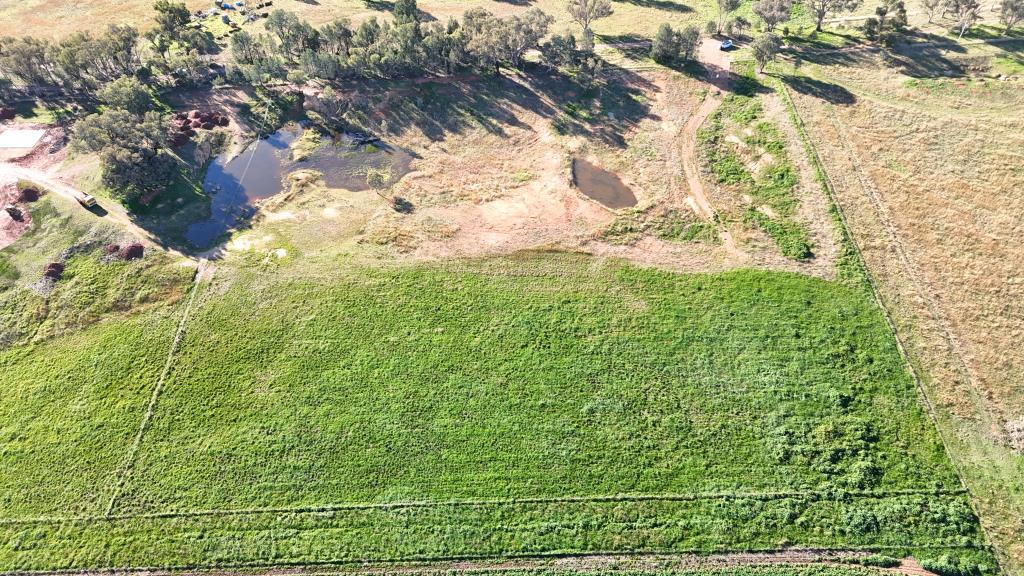 Lot 112/60 Halls Lane, Grenfell, NSW 2810