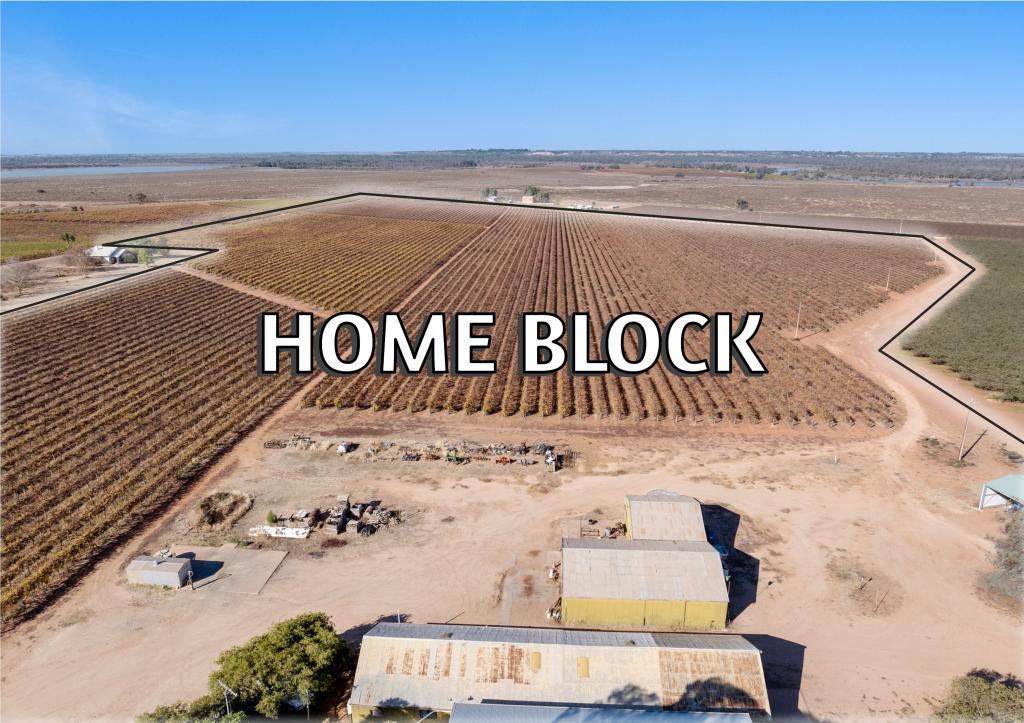 277 Winkie Rd, Winkie, SA 5343