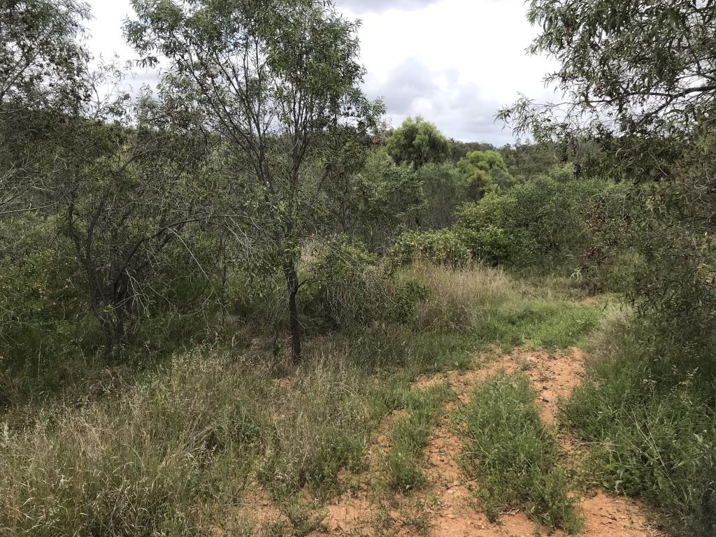 18 Jones St, Moongan, QLD 4714