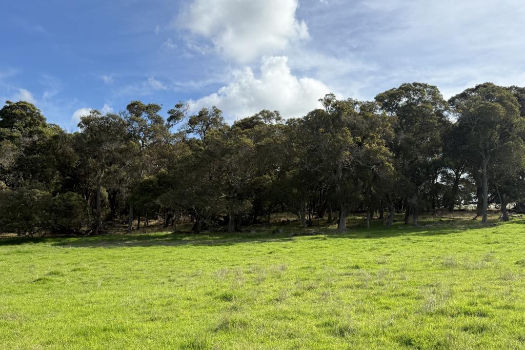 Lot 135/238 Link Rd, Marbelup, WA 6330