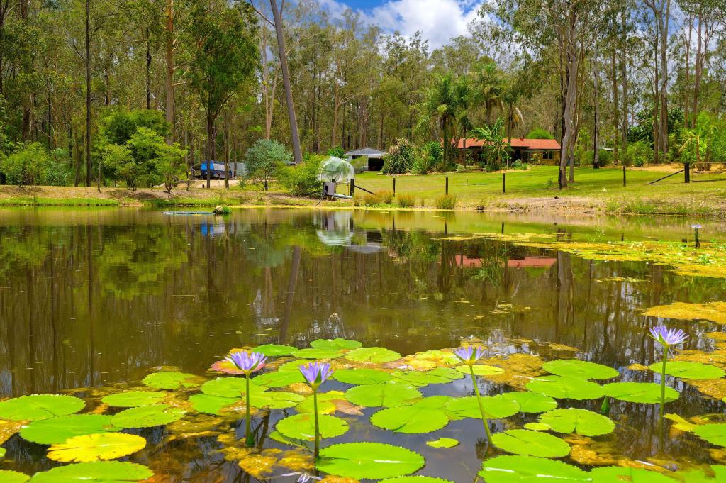 15 Arborseventeen Rd, Glenwood, QLD 4570