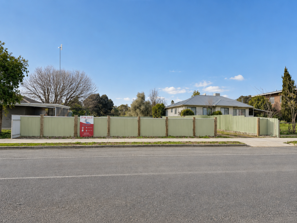 49 Brook St, Woomelang, VIC 3485