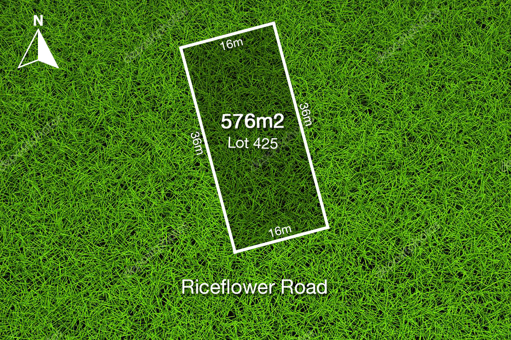 12 Riceflower Rd, Bannockburn, VIC 3331