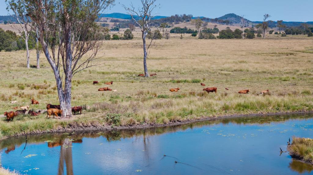 66 ESK CROWS NEST RD, BIARRA, QLD 4313