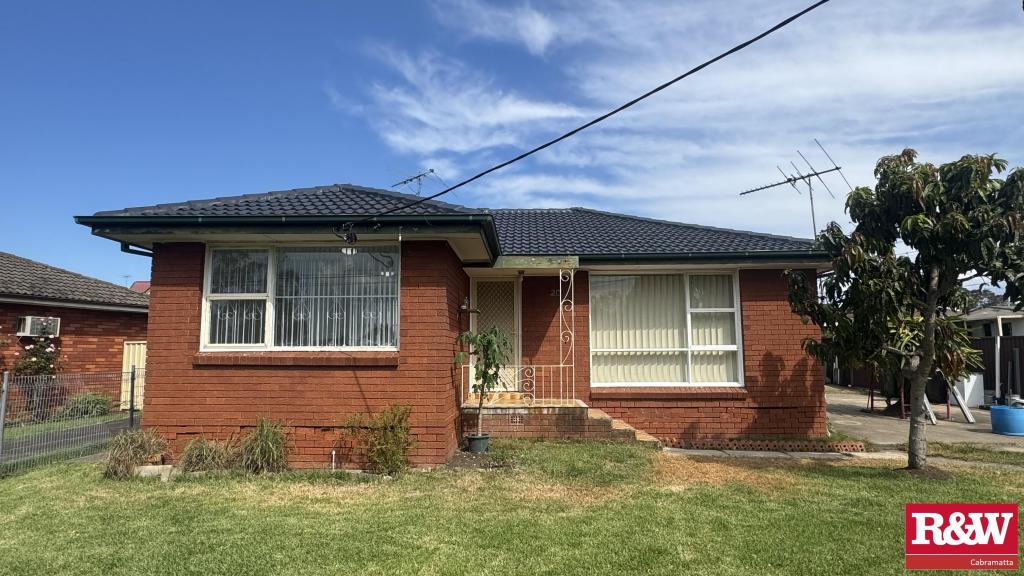 20 HORTON ST, MOUNT PRITCHARD, NSW 2170