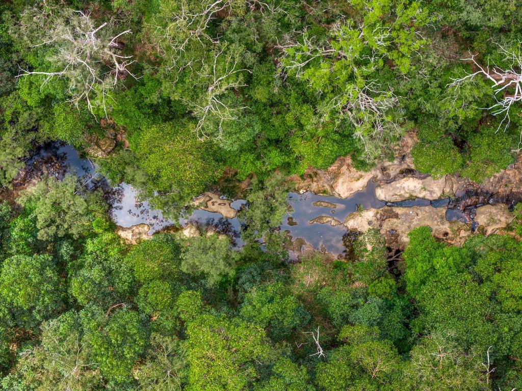 497 Yabbra Rd, Yabbra, NSW 2469