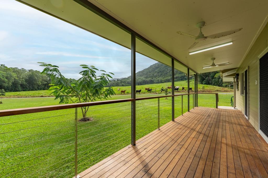 633 Cape Tribulation Road, Kimberley, Daintree, QLD 4873