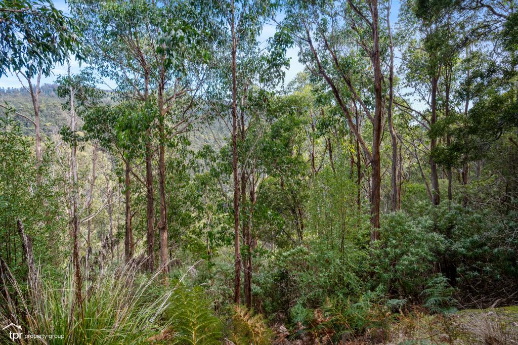 LOT 1 JUDDS CREEK RD, JUDBURY, TAS 7109