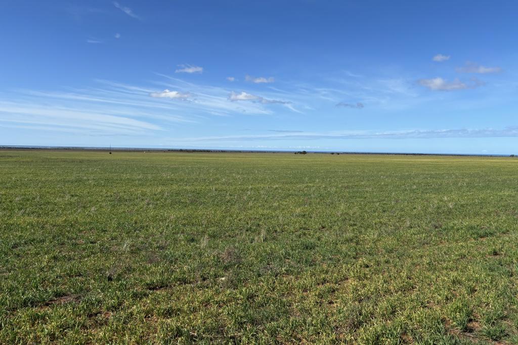  LOT 81 WILDMAN ROAD, COWELL, SA 5602