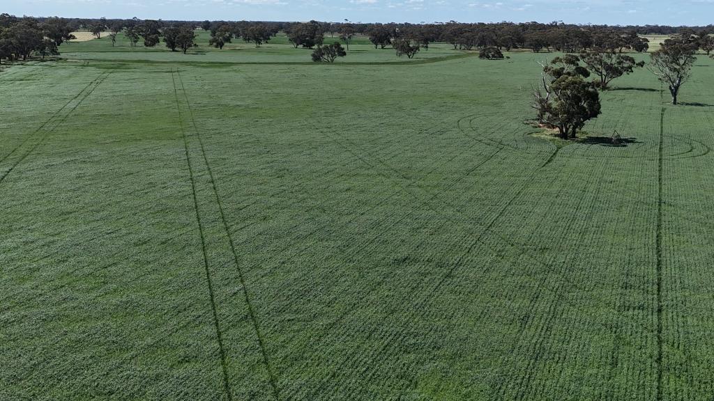 1878 Cannawigara Rd, Bordertown, SA 5268