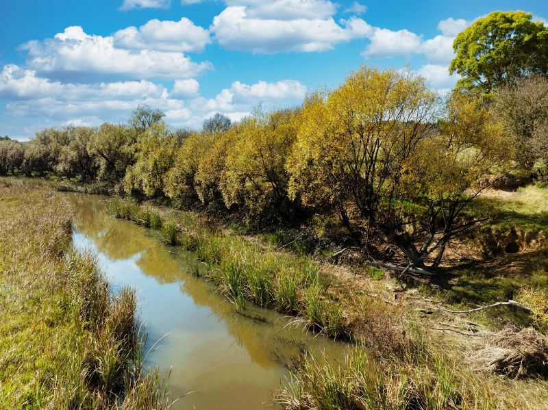 557 The Lookdown Road, Bungonia, NSW 2580