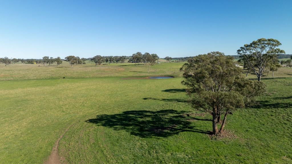 5016 New England Hwy, Guyra, NSW 2365