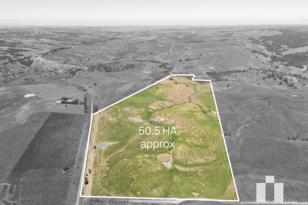 520 Moores Rd, Forbes, VIC 3764