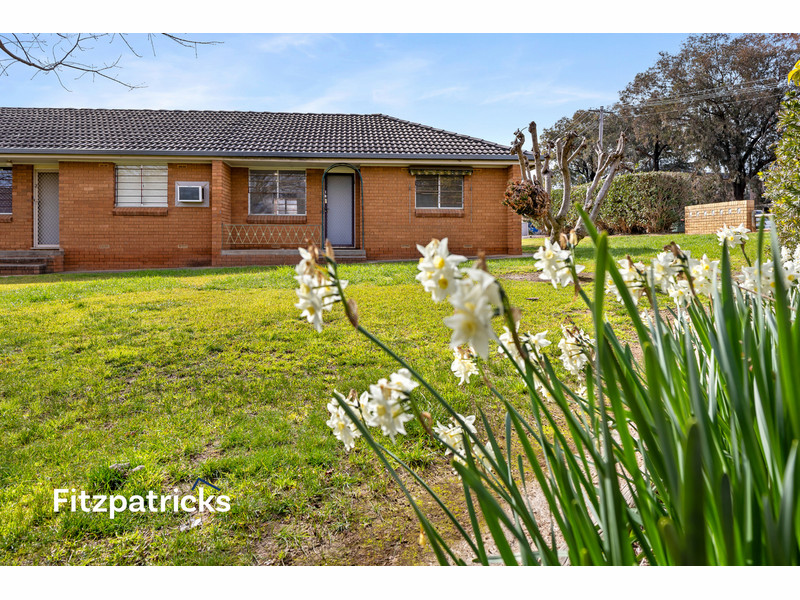 1/8 Joyes Pl, Tolland, NSW 2650