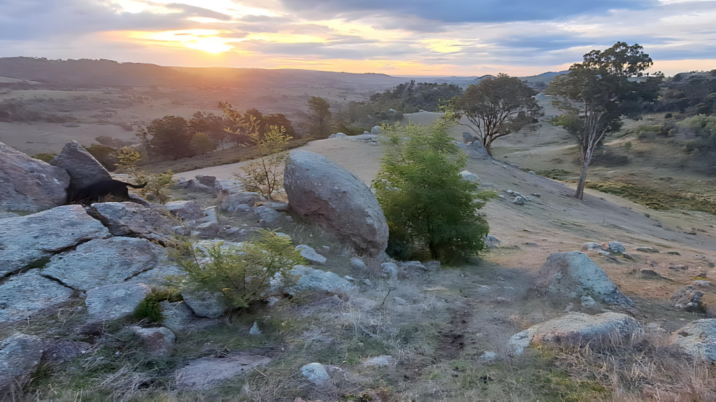 2209A CREIGHTONS CREEK RD, CREIGHTONS CREEK, VIC 3666