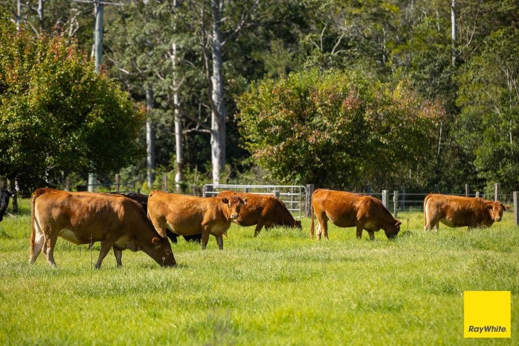 131 Crawford River Rd, Crawford River, NSW 2423