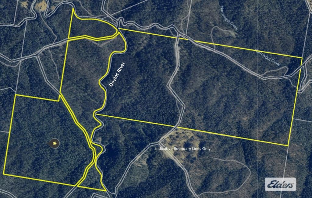 1280 Doyles River Rd, Bulga Forest, NSW 2429