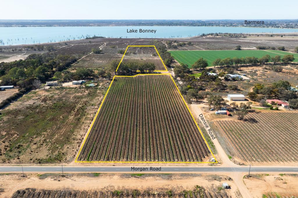 Lot 12 Dansie Rd, Barmera, SA 5345