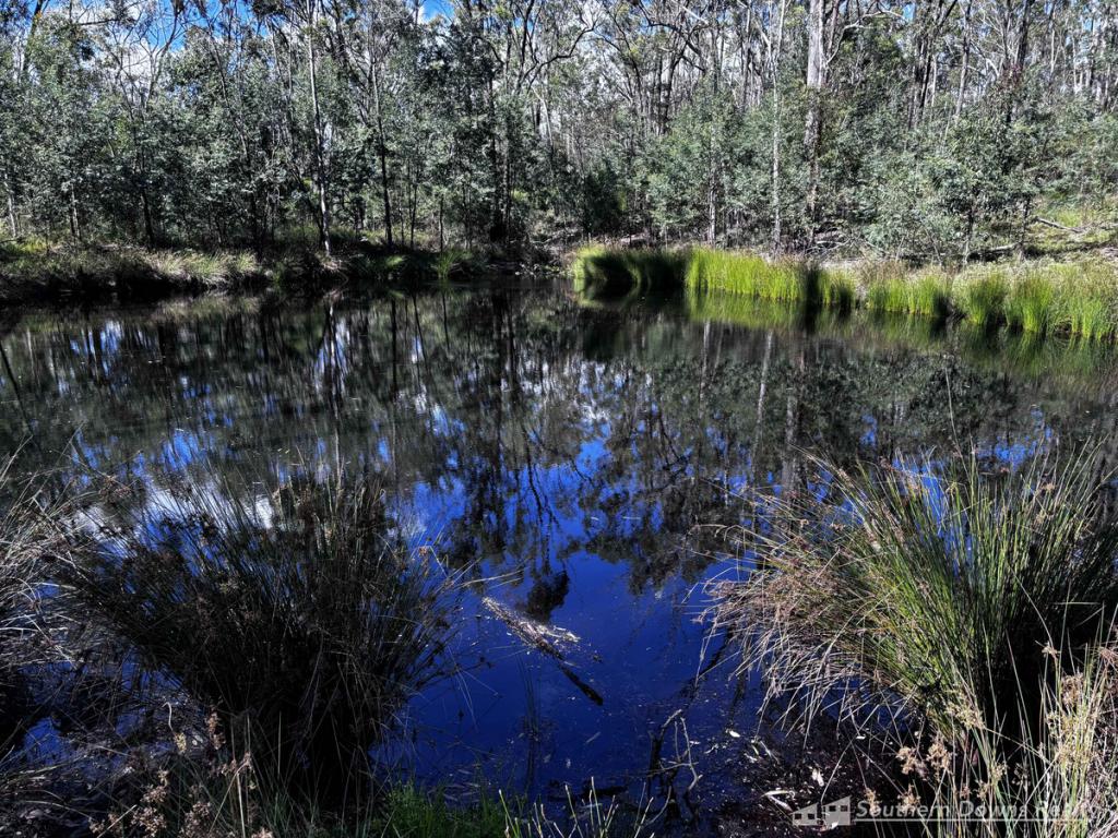  Old Thanes Creek Rd, Thanes Creek, QLD 4370