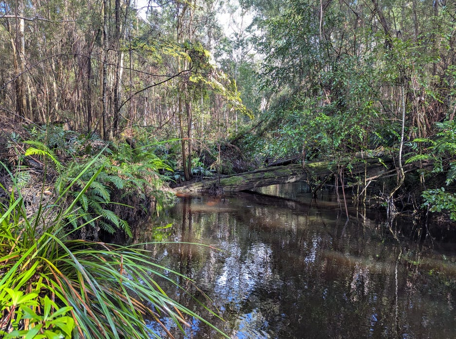 Contact agent for address, STRATHBLANE, TAS 7109