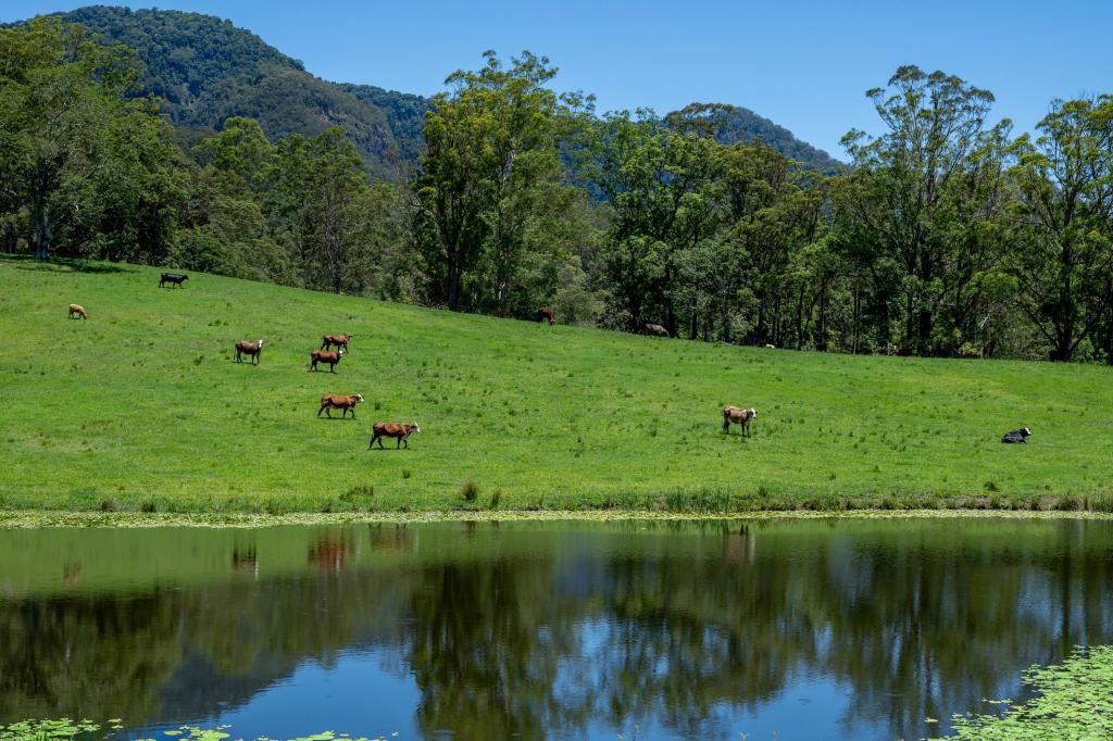 148 Pine Log Rd, Doon Doon, NSW 2484