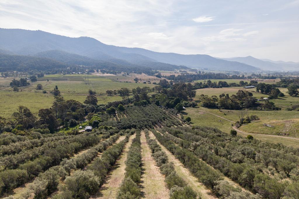 528 Redbank Mongans Rd, Mongans Bridge, VIC 3691