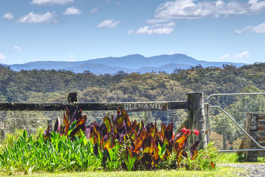 Contact Agent For Address, Dorrigo, NSW 2453