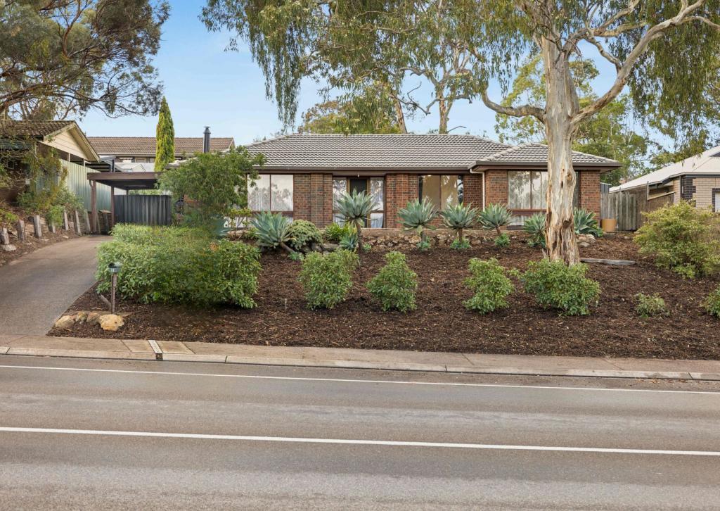 11 Sunnymeade Dr, Aberfoyle Park, SA 5159