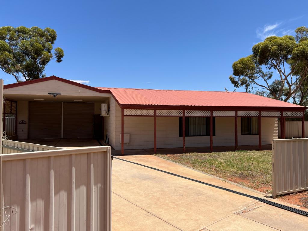 17 NYAROO CT, ROXBY DOWNS, SA 5725