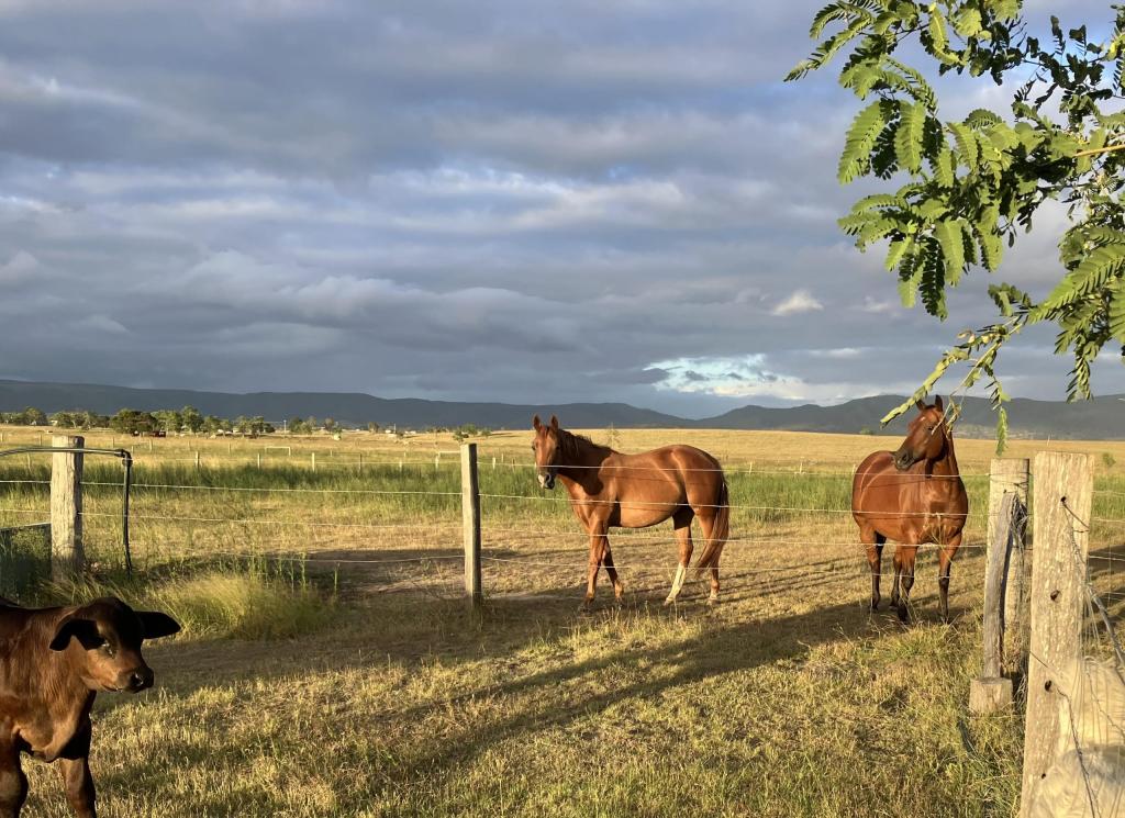 307 Silverleaves Rd, Mount Beppo, QLD 4313