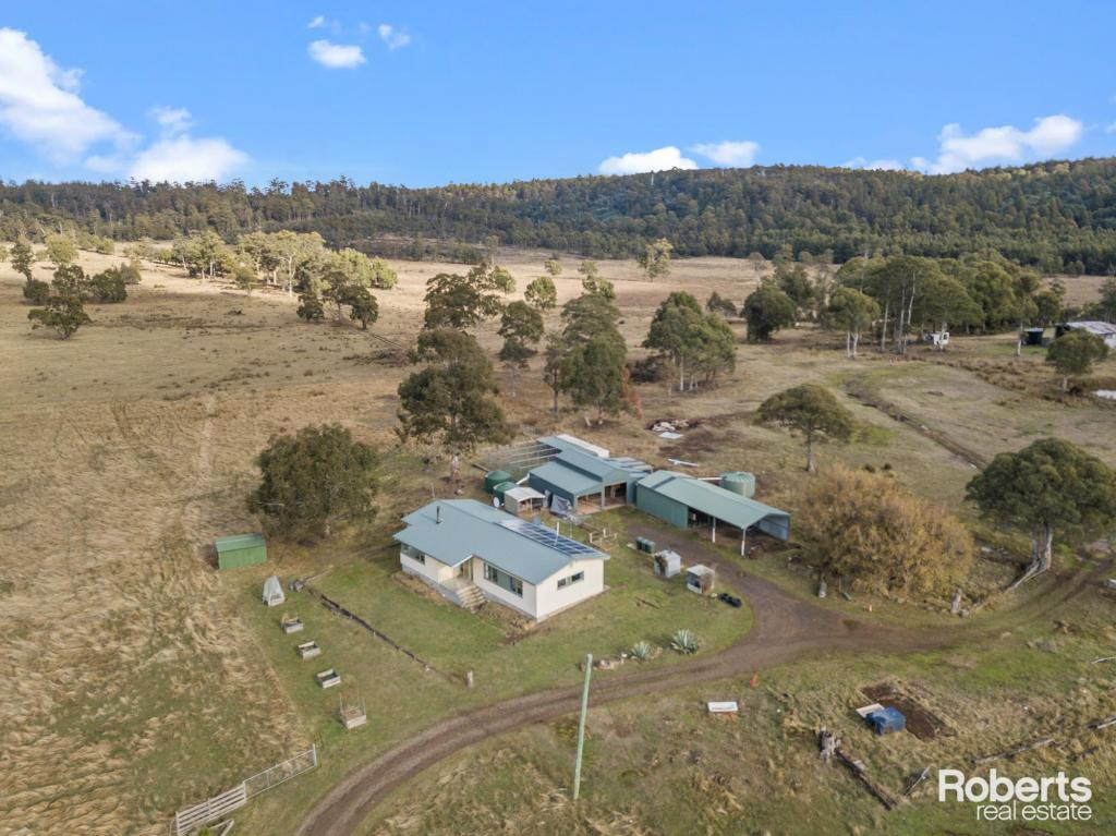 289 New Country Marsh Rd, Levendale, TAS 7120