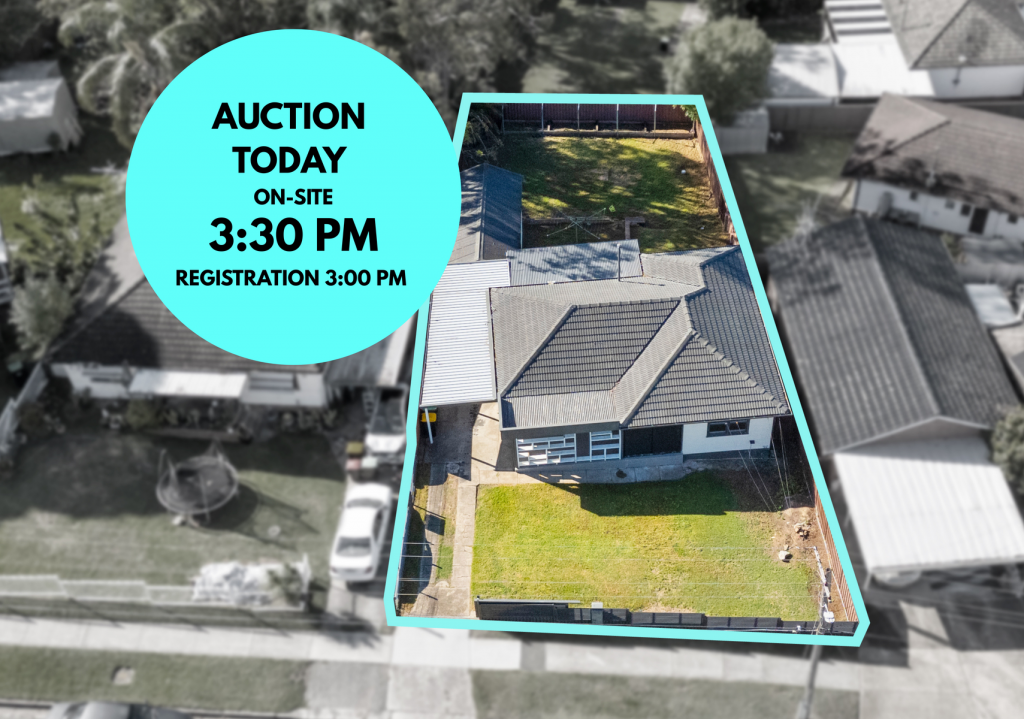 22 Murrumbidgee St, Heckenberg, NSW 2168