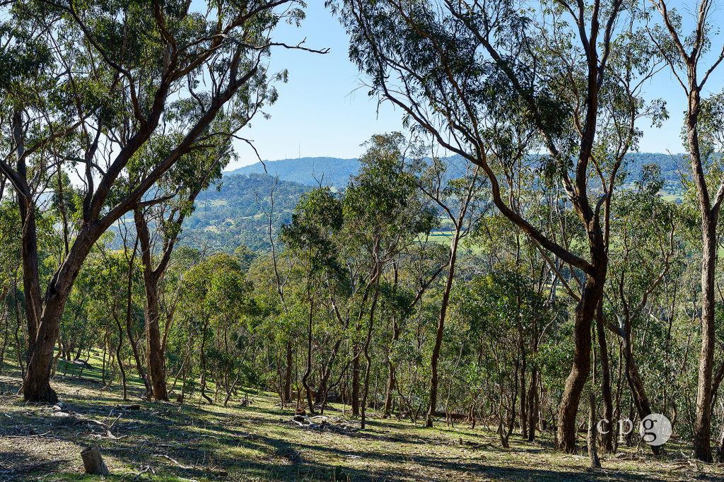 376 Specimen Gully Rd, Barkers Creek, VIC 3451