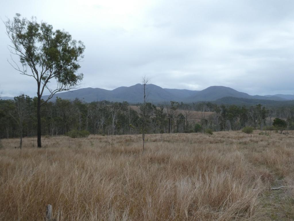 LOT 26 TENNINGERING RD, GOOD NIGHT, QLD 4671