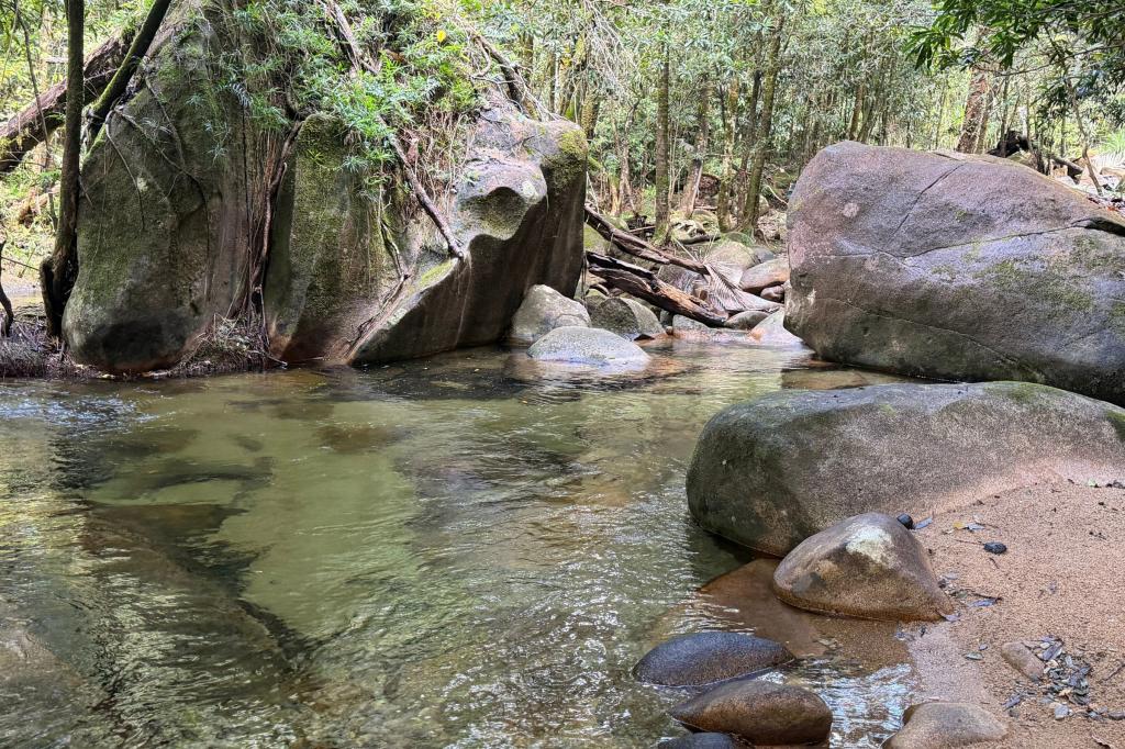 45 Stonewood Road, Diwan, Daintree, QLD 4873