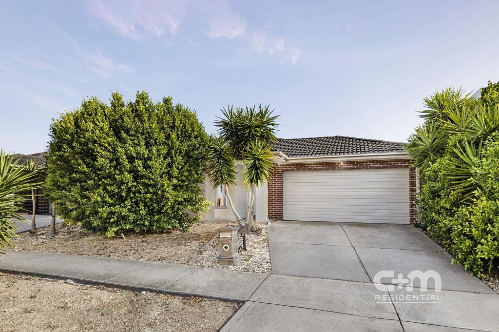 41 Watergum Ave, Craigieburn, VIC 3064
