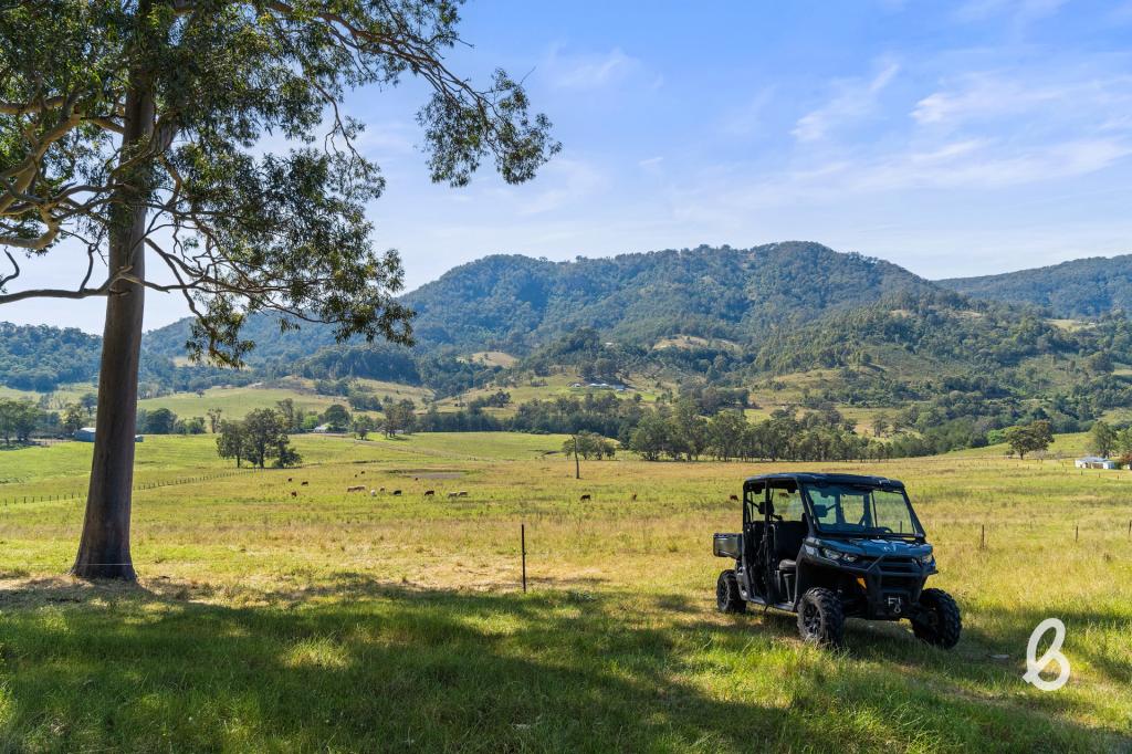 111 Old Carrowbrook Rd, St Clair, NSW 2330