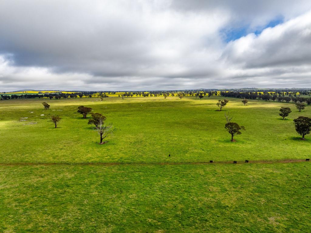 "West Ardnaree" Cnr Newell & Kurrawbya Roads, Tubbul Via, Young, NSW 2594