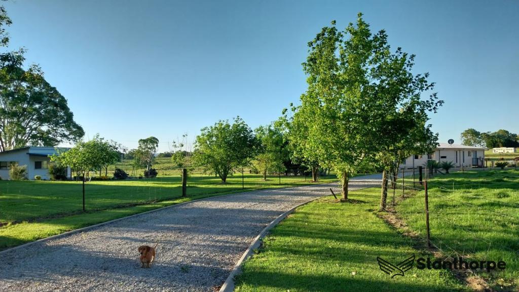 5379 Mount Lindesay Rd, Liston, NSW 2372