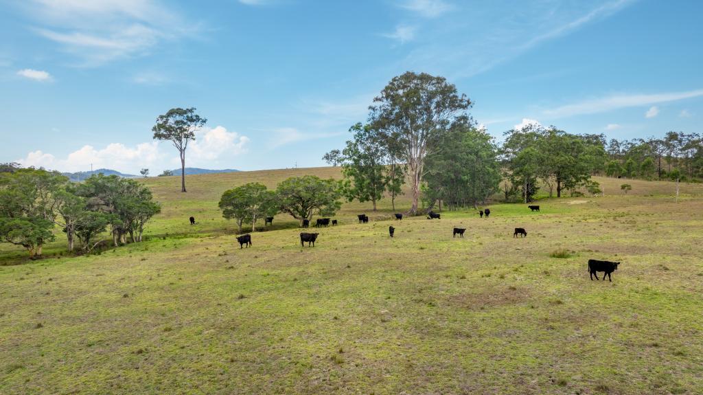 3949 Clarence Town Rd, Dungog, NSW 2420