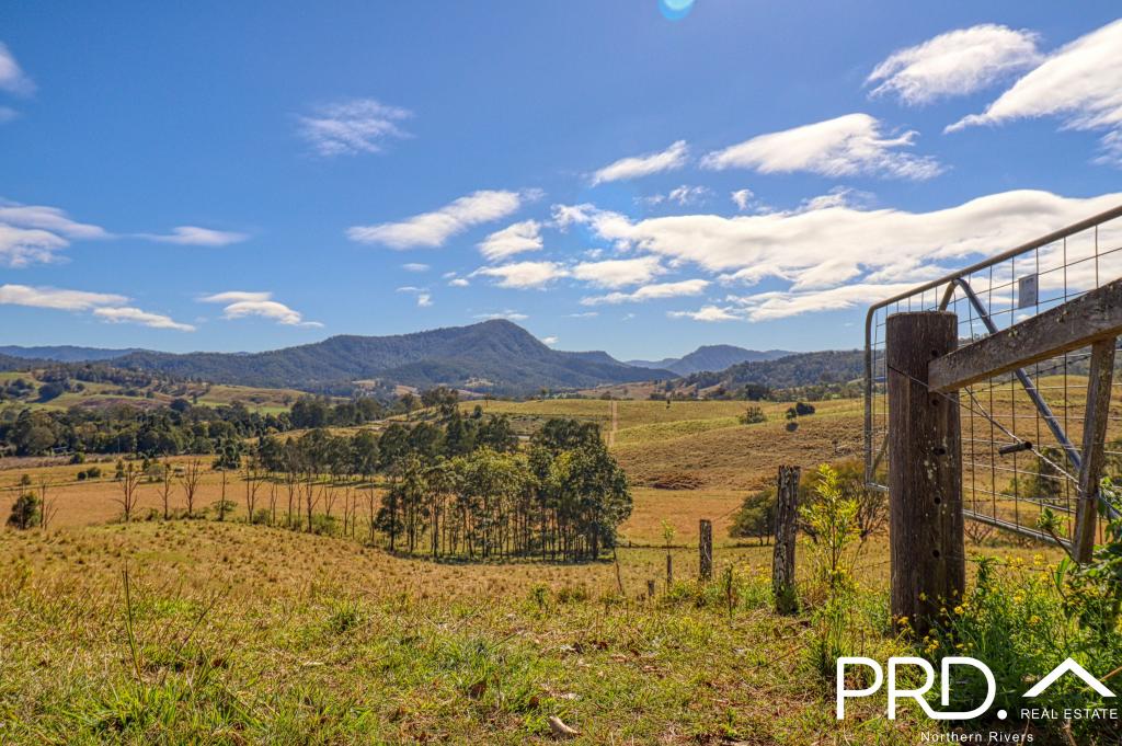 Lot 30, 46 Lynches Creek Rd, Wiangaree, NSW 2474