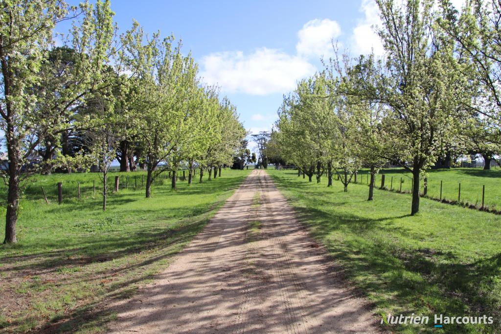 524 Remembrance Dr, Windermere, VIC 3352