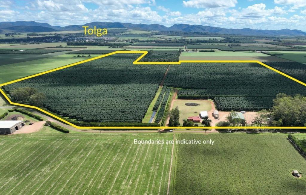 39 YADJIN RD, TOLGA, QLD 4882