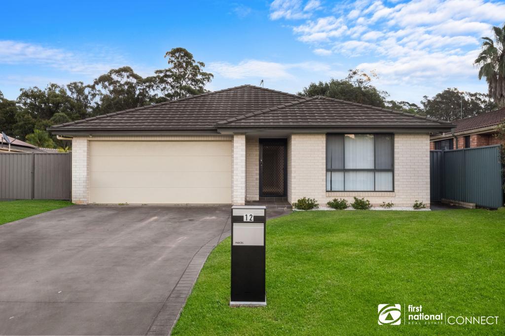 12 Mcphee Pl, Bligh Park, NSW 2756