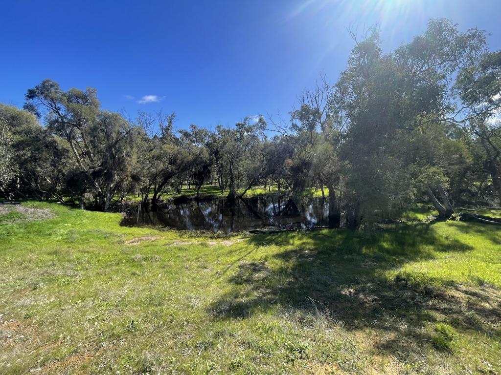254 Springhill Rd, Hill River, WA 6521