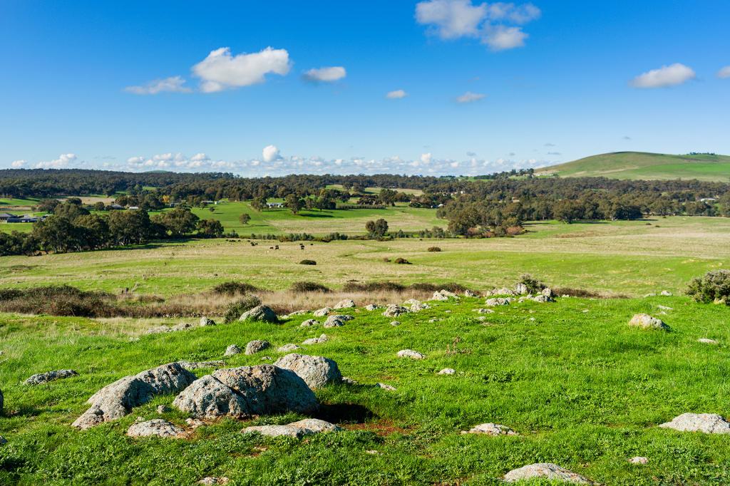 Lot 30 Mt Greenoch Rd, Red Lion, VIC 3371