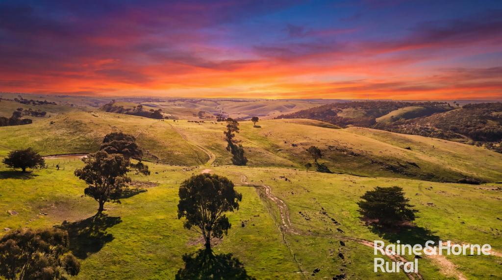 341 Wiles Firetrack, Wistow, SA 5251