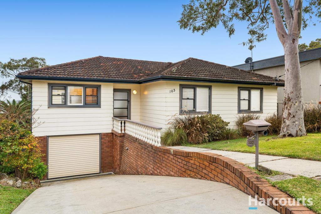 103 Andrew Rd, Valentine, NSW 2280