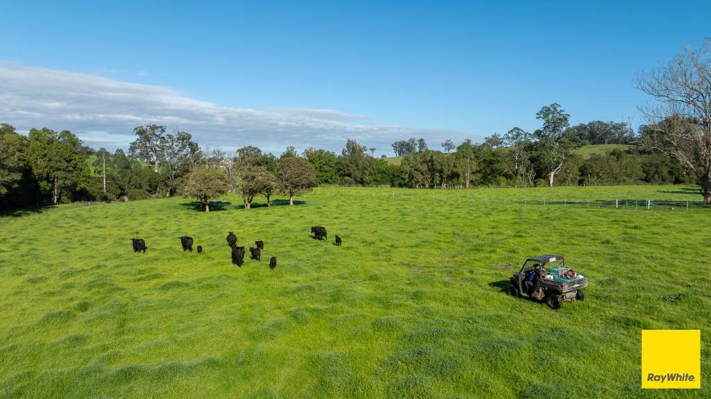 367 Terreel Rd, Wards River, NSW 2422