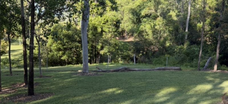 45 Lelona Dr, Bloomsbury, QLD 4799